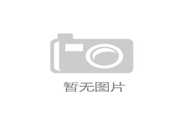 济南双马赛事新闻发布会举行 报名人数突破10.5万创历史新高